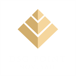 LOGO dsg point 1